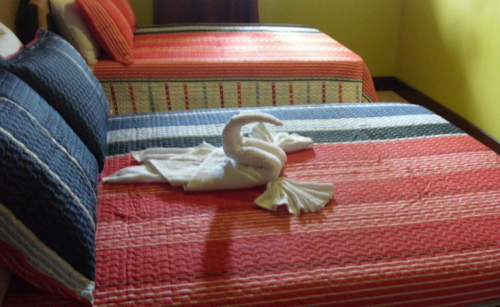 Hotel Tropik Leadonna 몬테고 베이 객실 사진